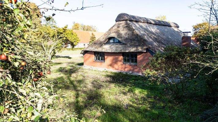 Aus dem Baumbestand heraus 