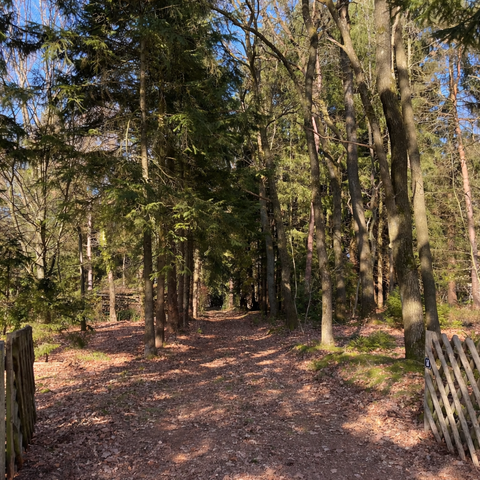 Neu Wulmstorf Grundstücke, Neu Wulmstorf Grundstück kaufen