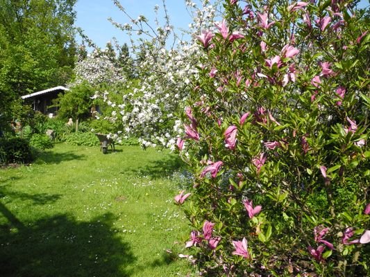 Garten im Frühjahr