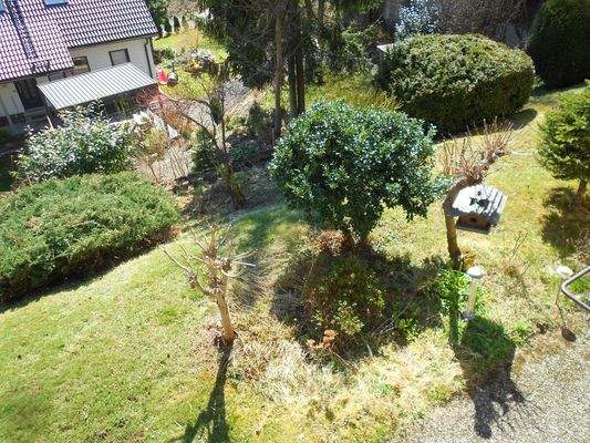 Blick in den Garten 