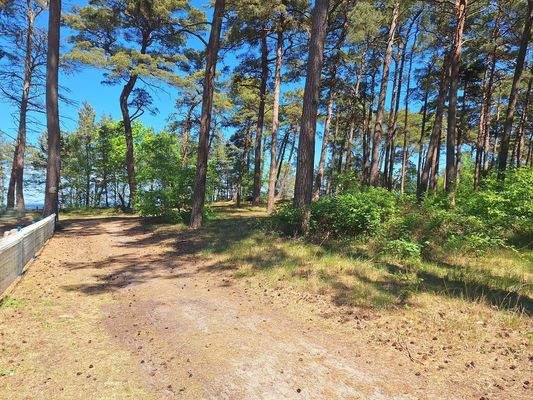 Weg zum Strand