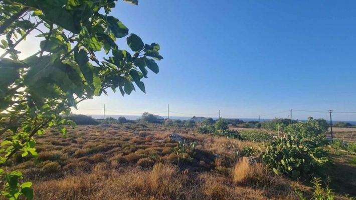 Kreta, Stavros: Land in Akrotiri mit Meerblick zu verkaufen