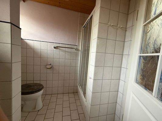 Bad im EG mit Dusche