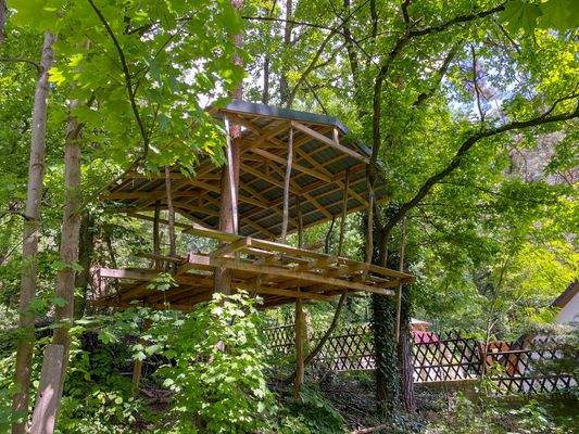 Baumhaus