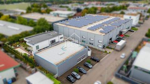 Talheim Halle, Talheim Hallenfläche