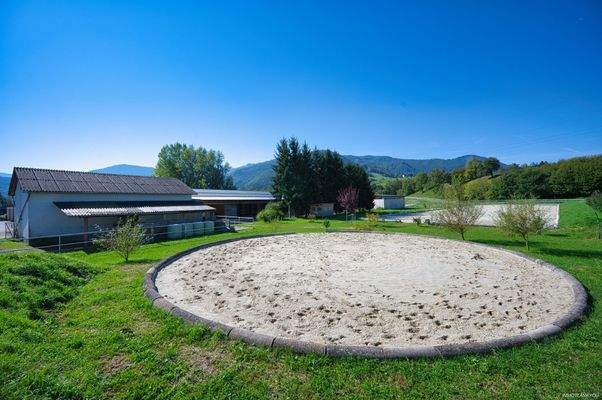 Longierplatz DSC_8472