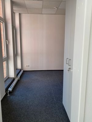 IMG_2033.jpeg