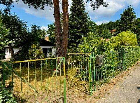 Wandlitz Grundstücke, Wandlitz Grundstück kaufen
