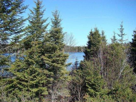 Blick von der Straße auf den See