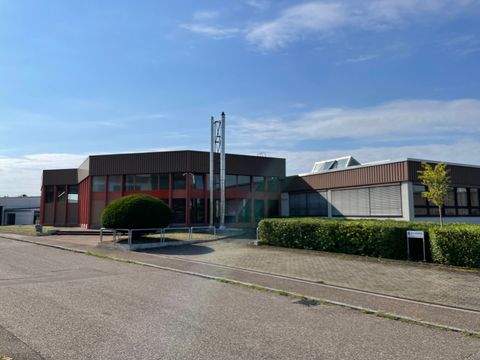 Leingarten Halle, Leingarten Hallenfläche