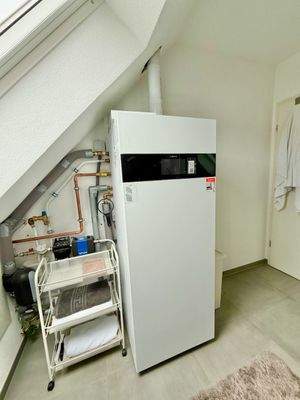 Neue Gastherme (Bj. 2023)