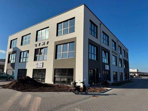 Wörth Büros, Büroräume, Büroflächen 