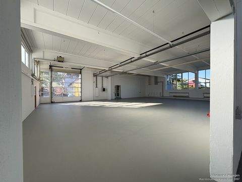 Allersberg Halle, Allersberg Hallenfläche