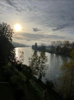 Traumlage Blick Rhein.jpg