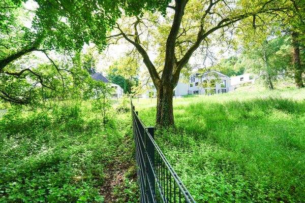 Zaun zum Nachbargrundstück