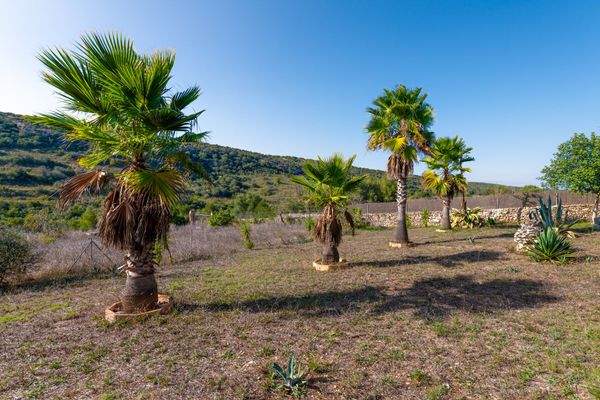 Finca im Naturschutzgebiet mit Palmenhain