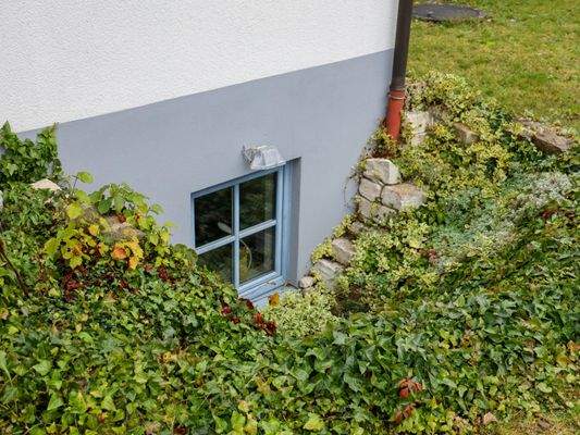 Tageslicht im Keller.jpeg