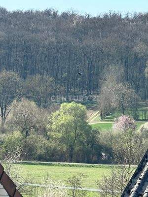 2. OG. Ausblick v. der Dachterrasse