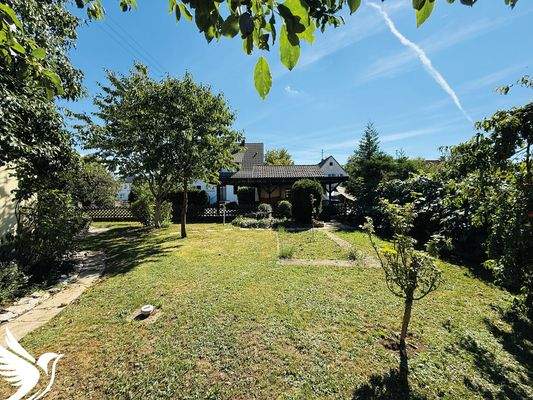 Garten mit tollem Baumbestand