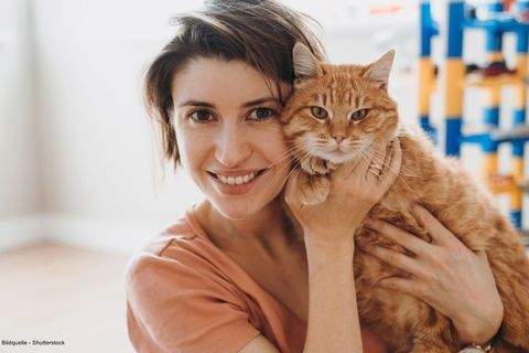 Berlin Wohnungen, Berlin Wohnung kaufen