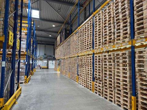 Lüneburg Halle, Lüneburg Hallenfläche