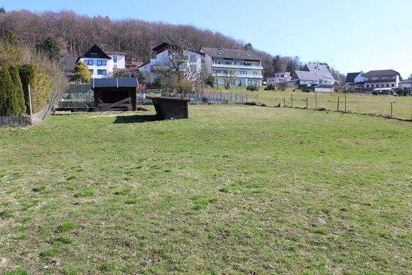 landiwrtschaftliche Fläche.JPG