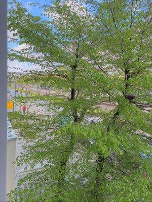 Foto 27.04.23, 13 21 50.jpg