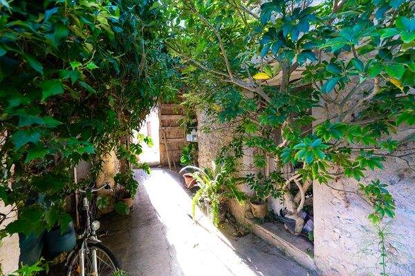 Stadthaus-Rustic-Views-Selva-13