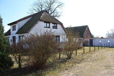 Born a. Darß Häuser, Born a. Darß Haus kaufen