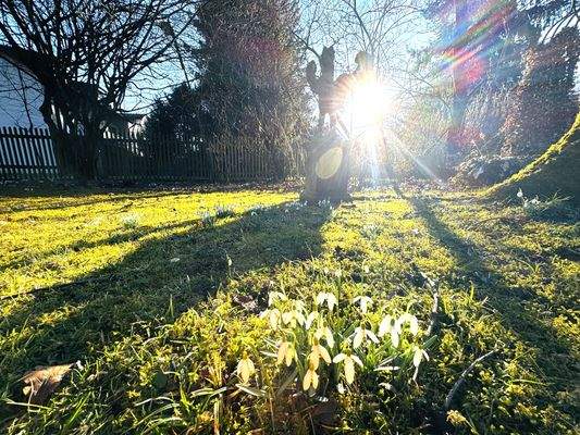 Frühlingsblüher im Garten