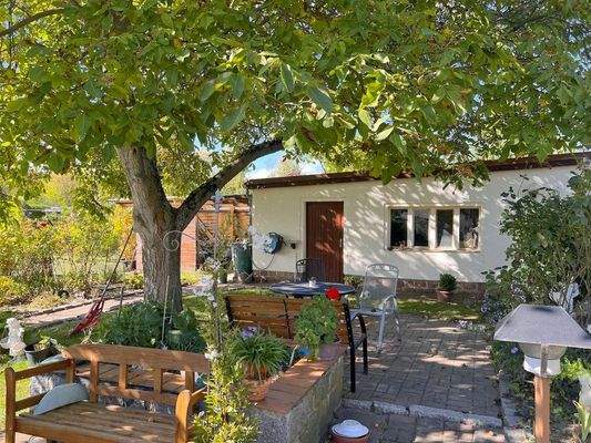 Oase unterm Nussbaum