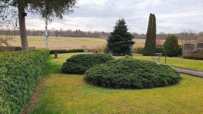 Friedel-IMMO Erkner k-20250409_170854.jpg