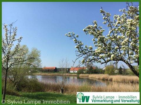 Magdeburg Wohnungen, Magdeburg Wohnung mieten