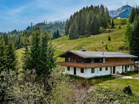 St. Johann in Tirol Bauernhöfe, Landwirtschaft, St. Johann in Tirol Forstwirtschaft