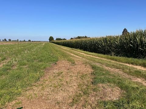 Euskirchen Bauernhöfe, Landwirtschaft, Euskirchen Forstwirtschaft