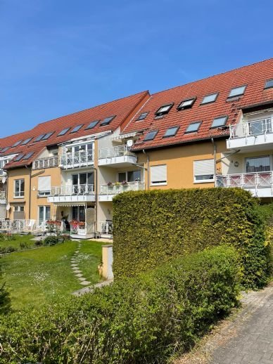 Gemütliche 1-Zimmer Wohnung im schönen Langebrück