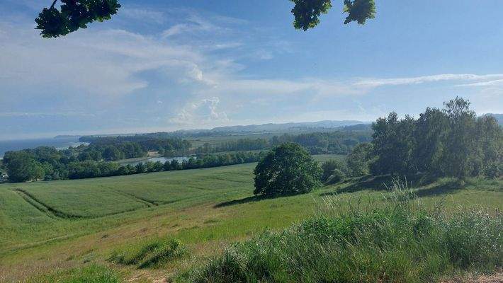 Blick auf`s Mönchsgut