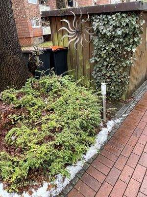 Fahrradschuppen links