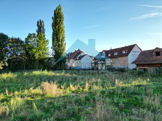 Impressionen vom Grundstück