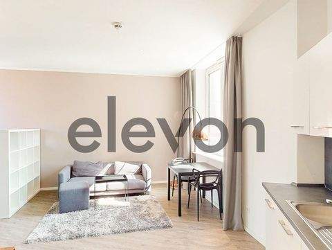 Mainz Wohnungen, Mainz Wohnung mieten