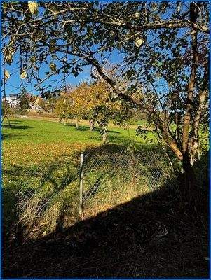Blick aus dem Garten ins Grüne