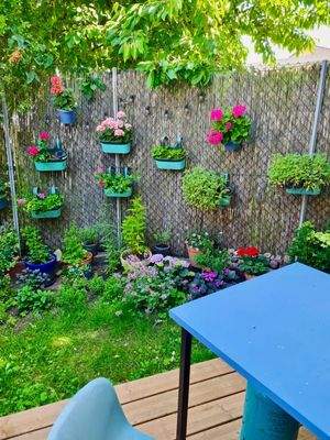 kleiner Garten hinter dem Haus