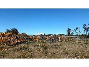 Alerce Büros, Büroräume, Büroflächen 