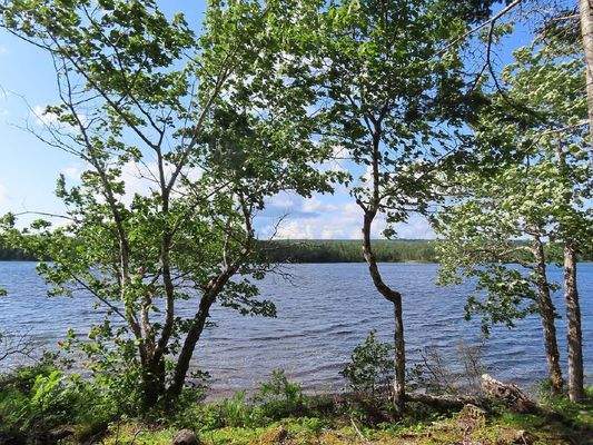 Cape Breton - Third Lake - Wunderschönes See-Uferg
