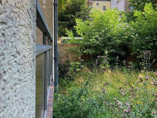 Gartenansicht Sommer