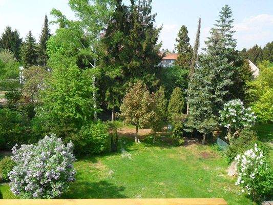 Blick in den Garten.JPG