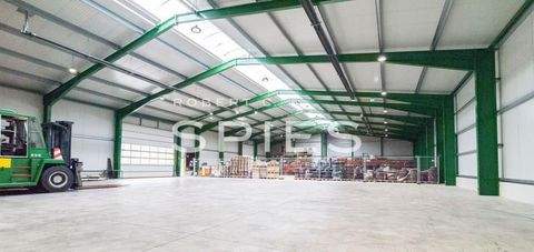 Stuhr Halle, Stuhr Hallenfläche