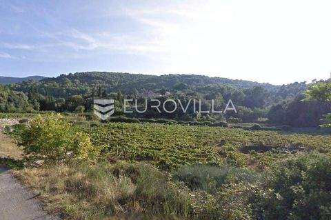 Stari Grad Bauernhöfe, Landwirtschaft, Stari Grad Forstwirtschaft