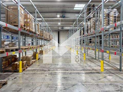 Kerpen Halle, Kerpen Hallenfläche