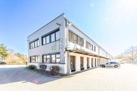 Düsseldorf Halle, Düsseldorf Hallenfläche